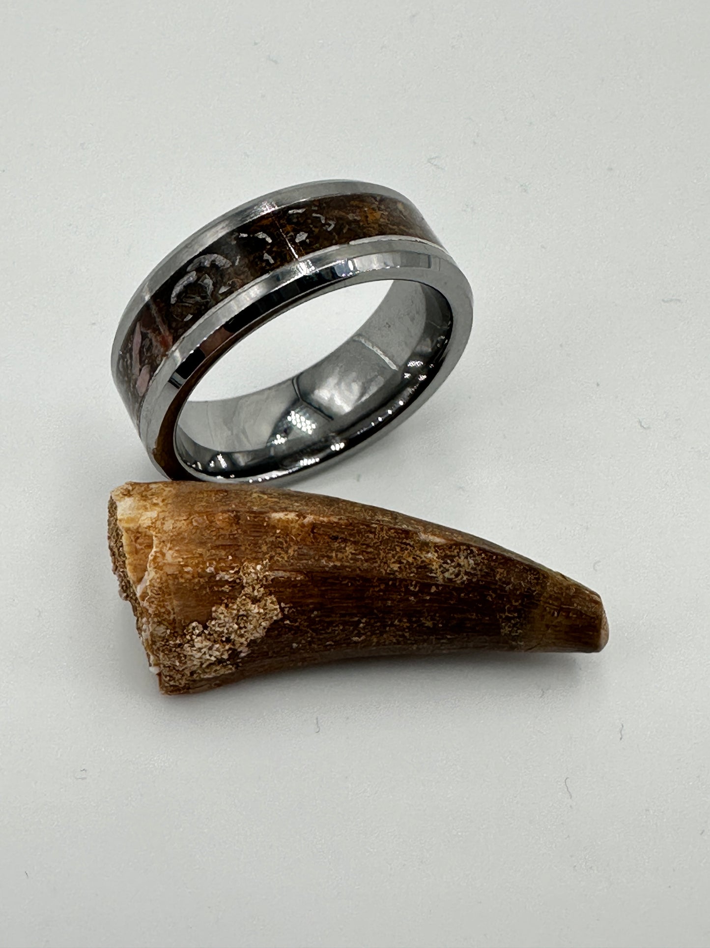 Handgefertigter Kunst-Ring Relic of Eternity, gefertigt aus fossilem Dinosaurierknochen, Rhodonit, australischem Opal und einem Splitter eines Meteoriten – einzigartiges Unikat-Schmuckstück. hier gezeigt mit einem Dinosaurierzahn.