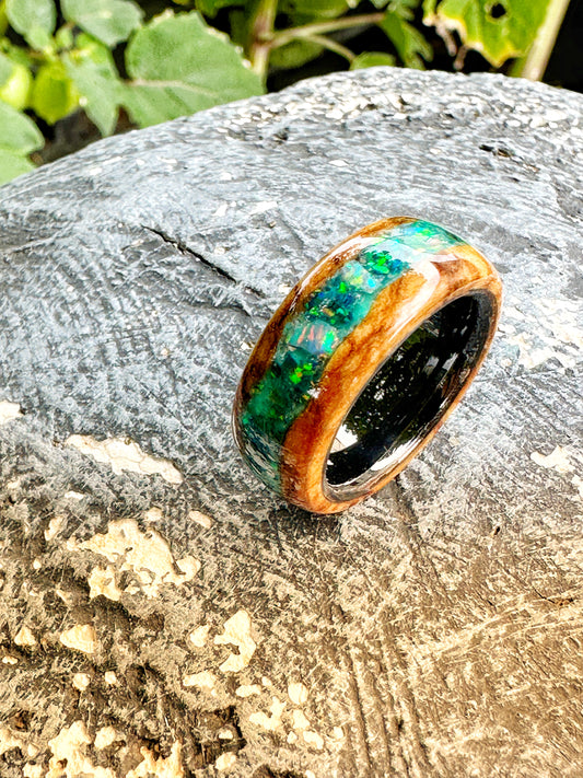 Rainforest Relic – Leben, Licht und Tiefe