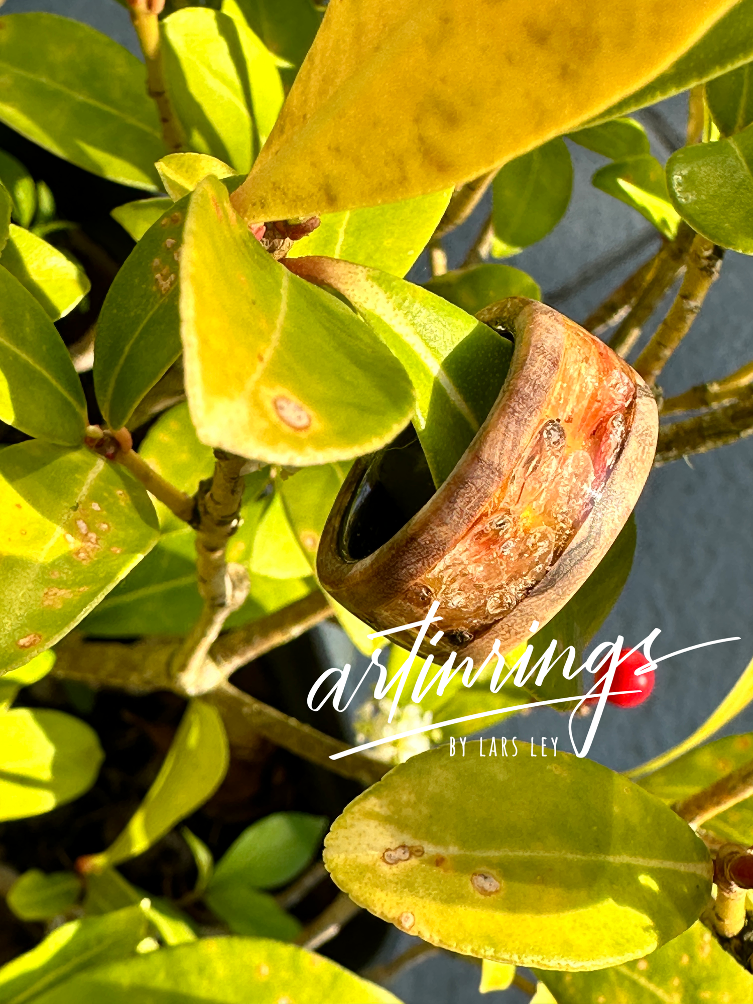 Kunstwerk / Gesamtansicht
🇩🇪 „Kunstwerk-Ring Summer – handgefertigt, inspiriert von Sommer, Sonne und Fülle“
🇫🇷 « Bague artistique Summer – pièce unique, inspirée par l’été, le soleil et l’abondance »
🇬🇧 “Art ring Summer – handcrafted, inspired by summer, sun, and abundance”