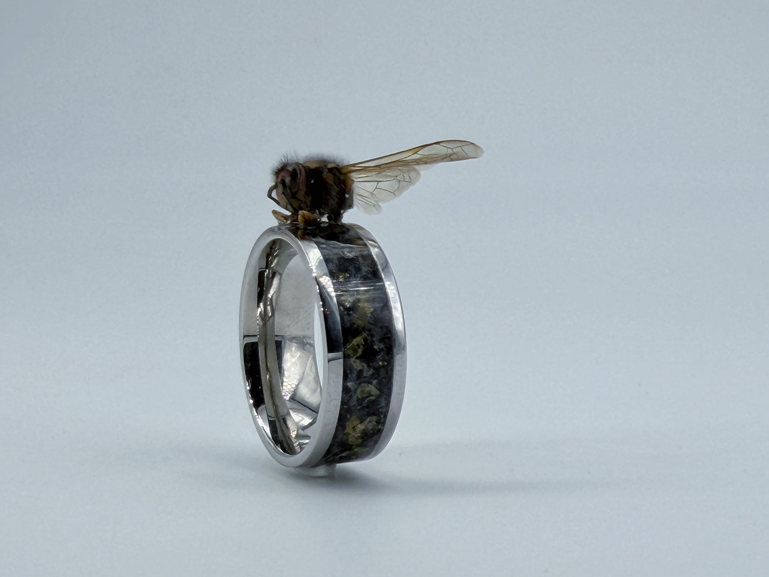 Polished metallic ring sculpture symbolizing Death, featuring a dark central band and a subtle sculptural detail rising from the surface.