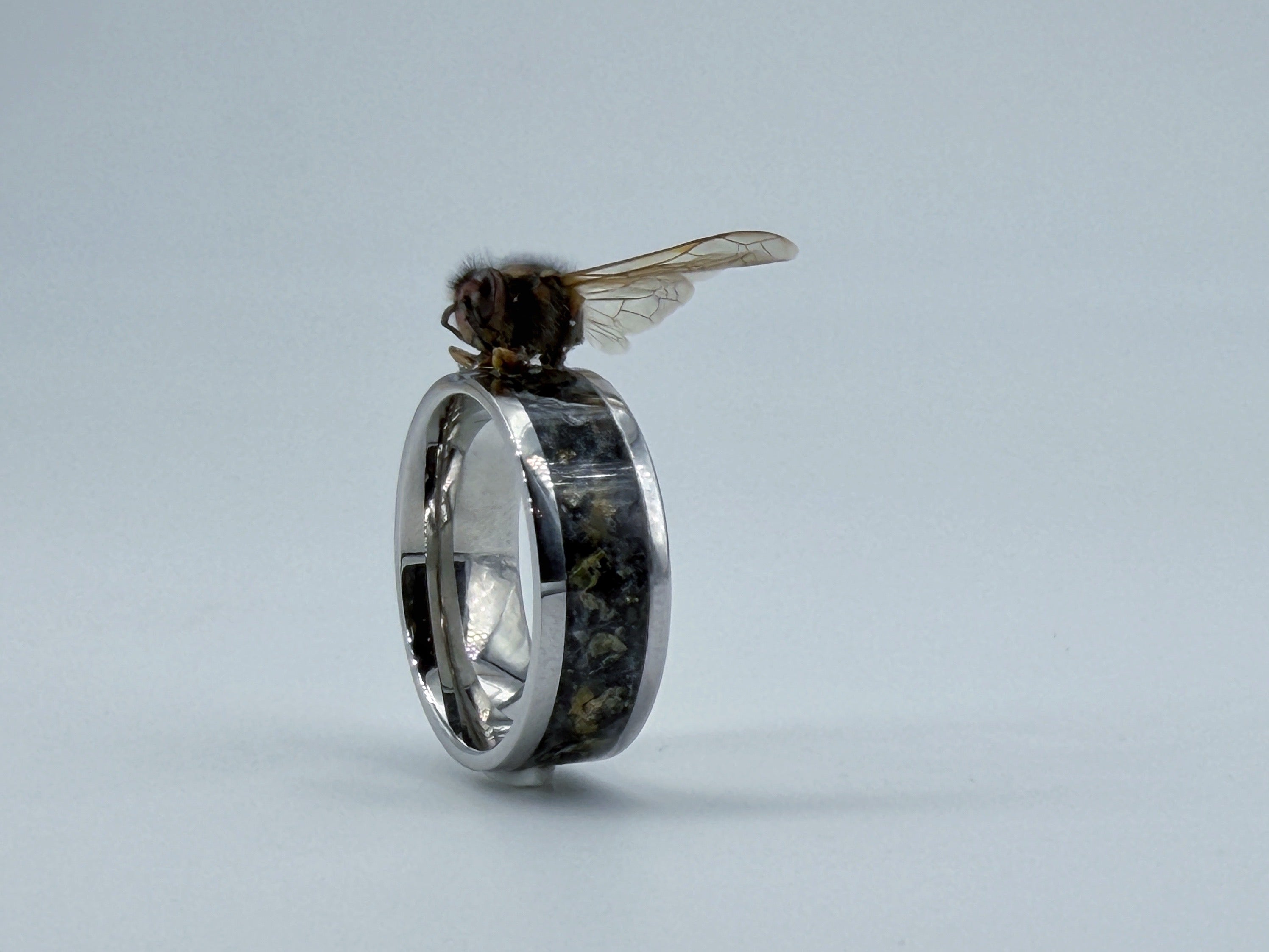 Polished metallic ring sculpture symbolizing Death, featuring a dark central band and a subtle sculptural detail rising from the surface.
